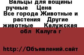 Вальцы для вощины ручные  › Цена ­ 10 000 - Все города Животные и растения » Другие животные   . Калужская обл.,Калуга г.